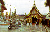 ayutthaya06.jpg (13498 bytes)